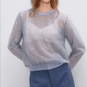 Sequin Zara sweater.